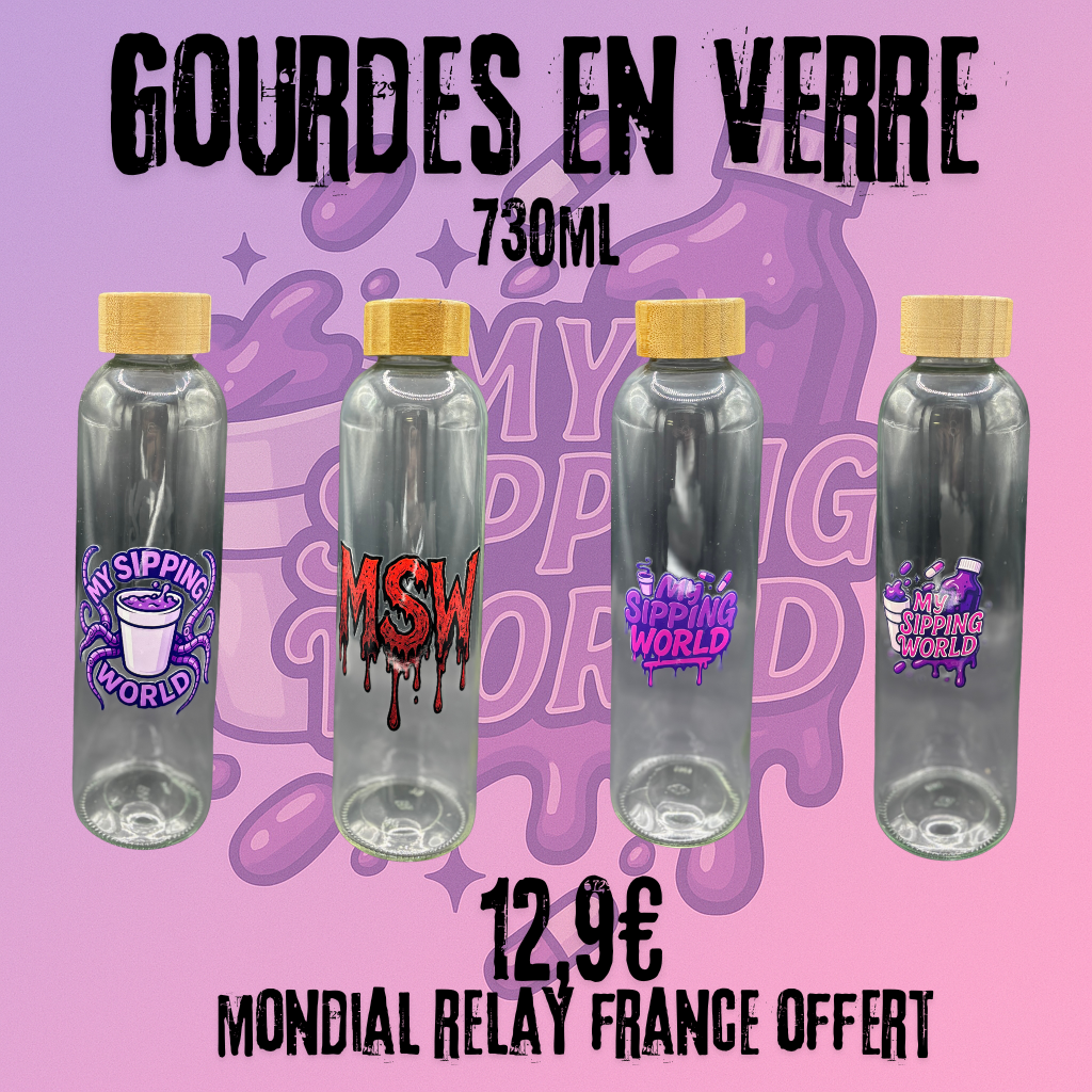 🧴 Gourde en Verre My Sipping World – 730ml