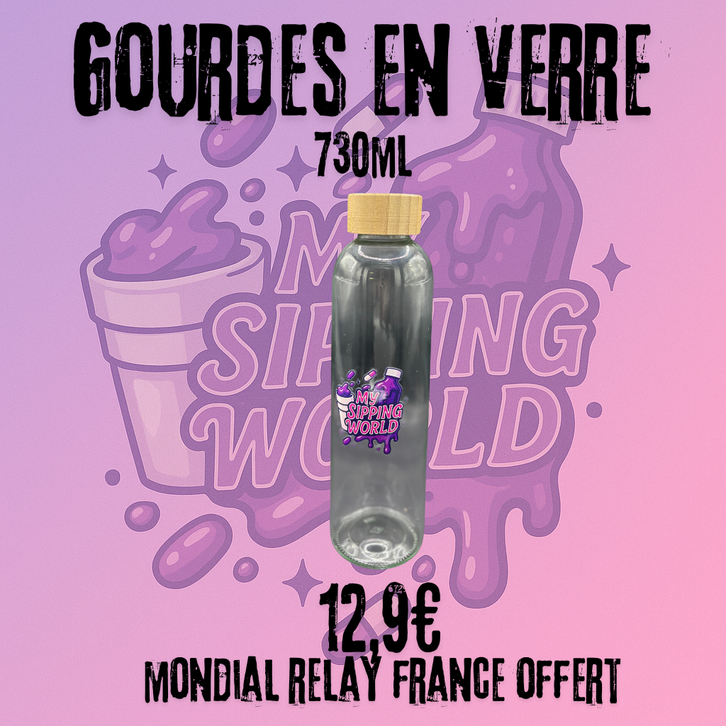 🧴 Gourde en Verre My Sipping World – 730ml