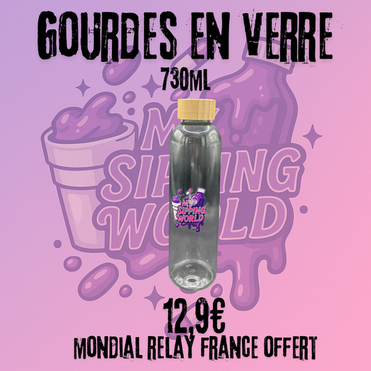 🧴 Gourde en Verre My Sipping World – 730ml