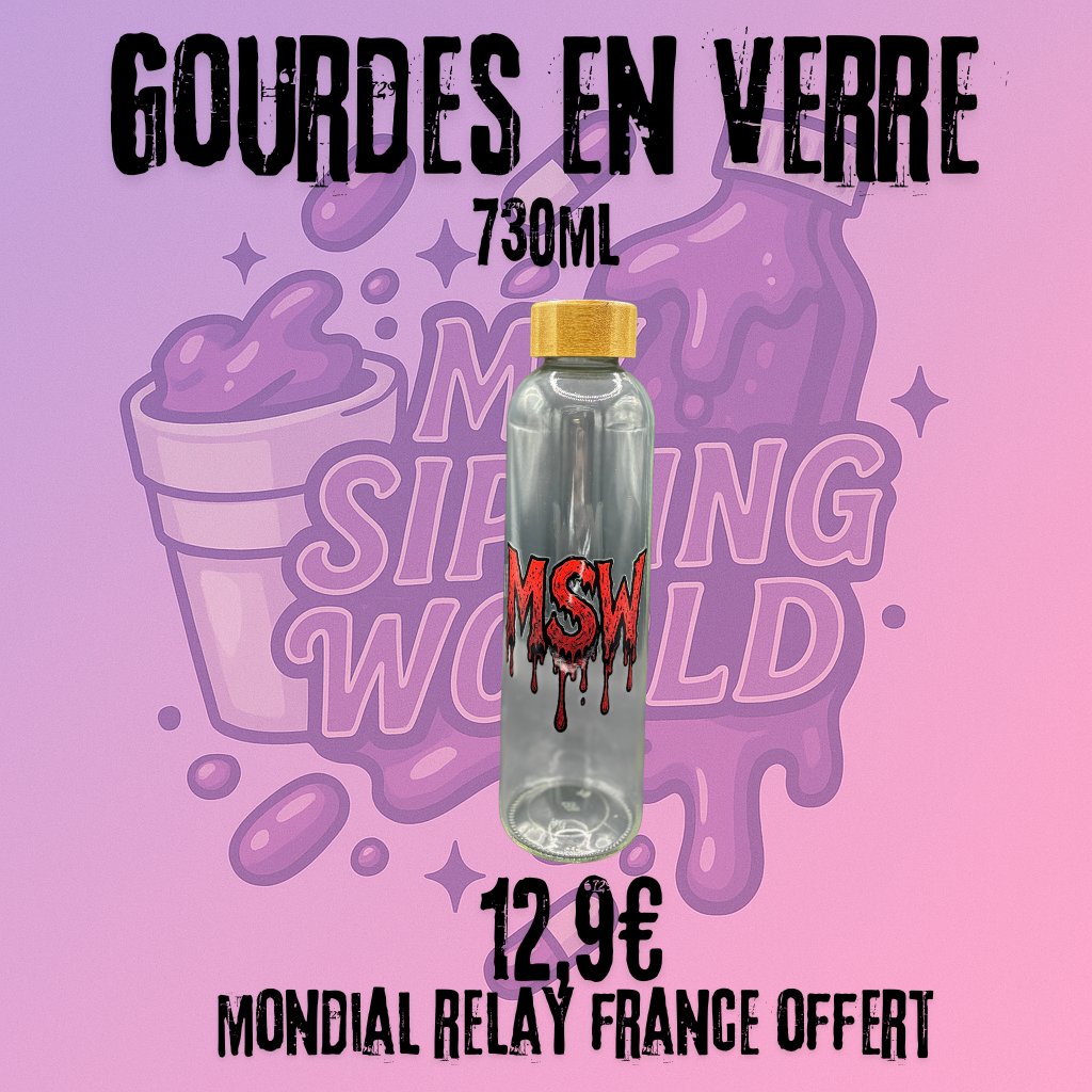 🧴 Gourde en Verre My Sipping World – 730ml