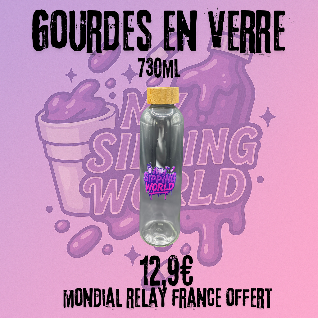 🧴 Gourde en Verre My Sipping World – 730ml