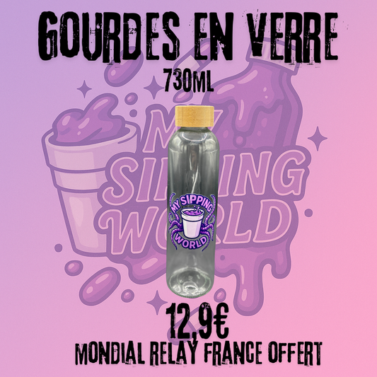 🧴 Gourde en Verre My Sipping World – 730ml