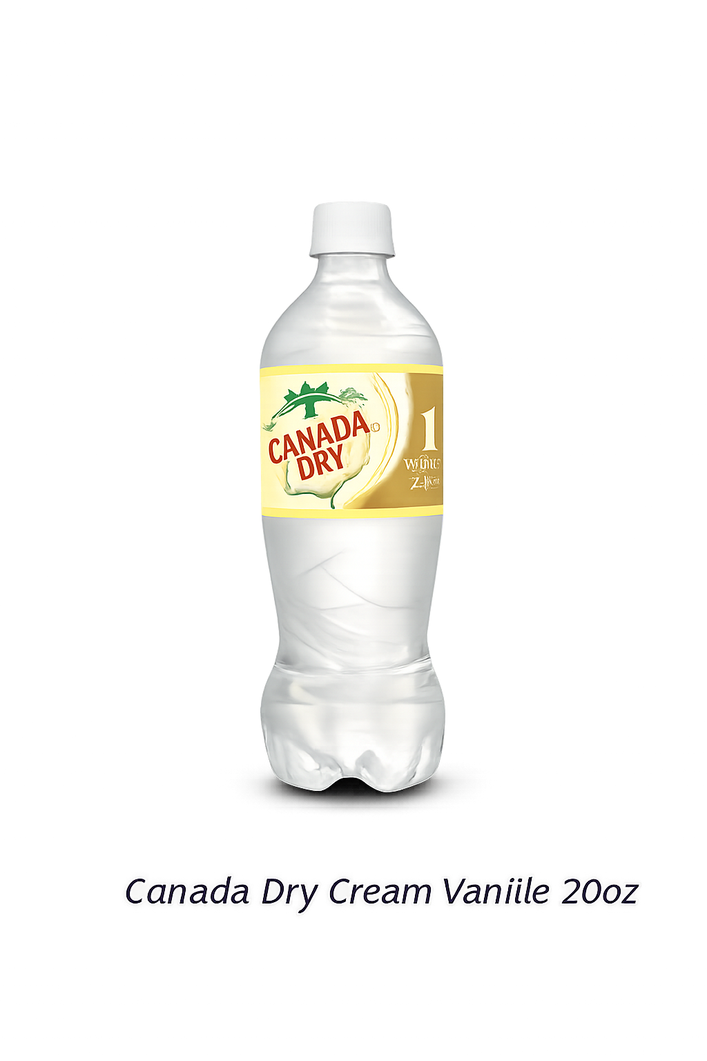 canada dry 20oz