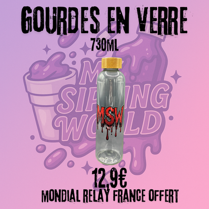 🧴 Gourde en Verre My Sipping World – 730ml
