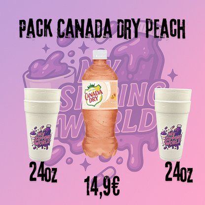 Pack Canada Dry Pêche
